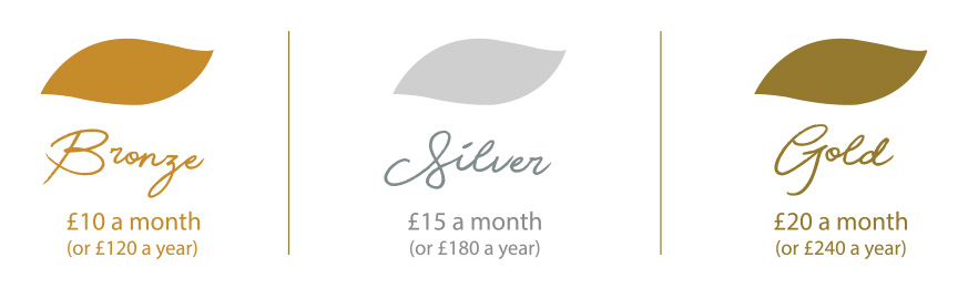 Memory-Tree-Feature-2026